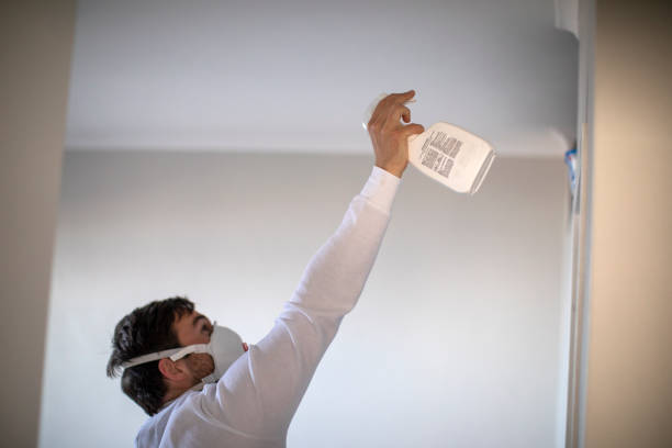 Best Commercial Mold Removal  in Walker, MI