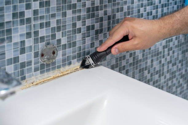 Best Mold Removal Specialists  in Walker, MI