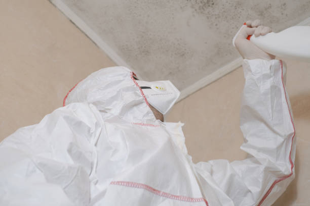 Best Fast Mold Removal  in Walker, MI